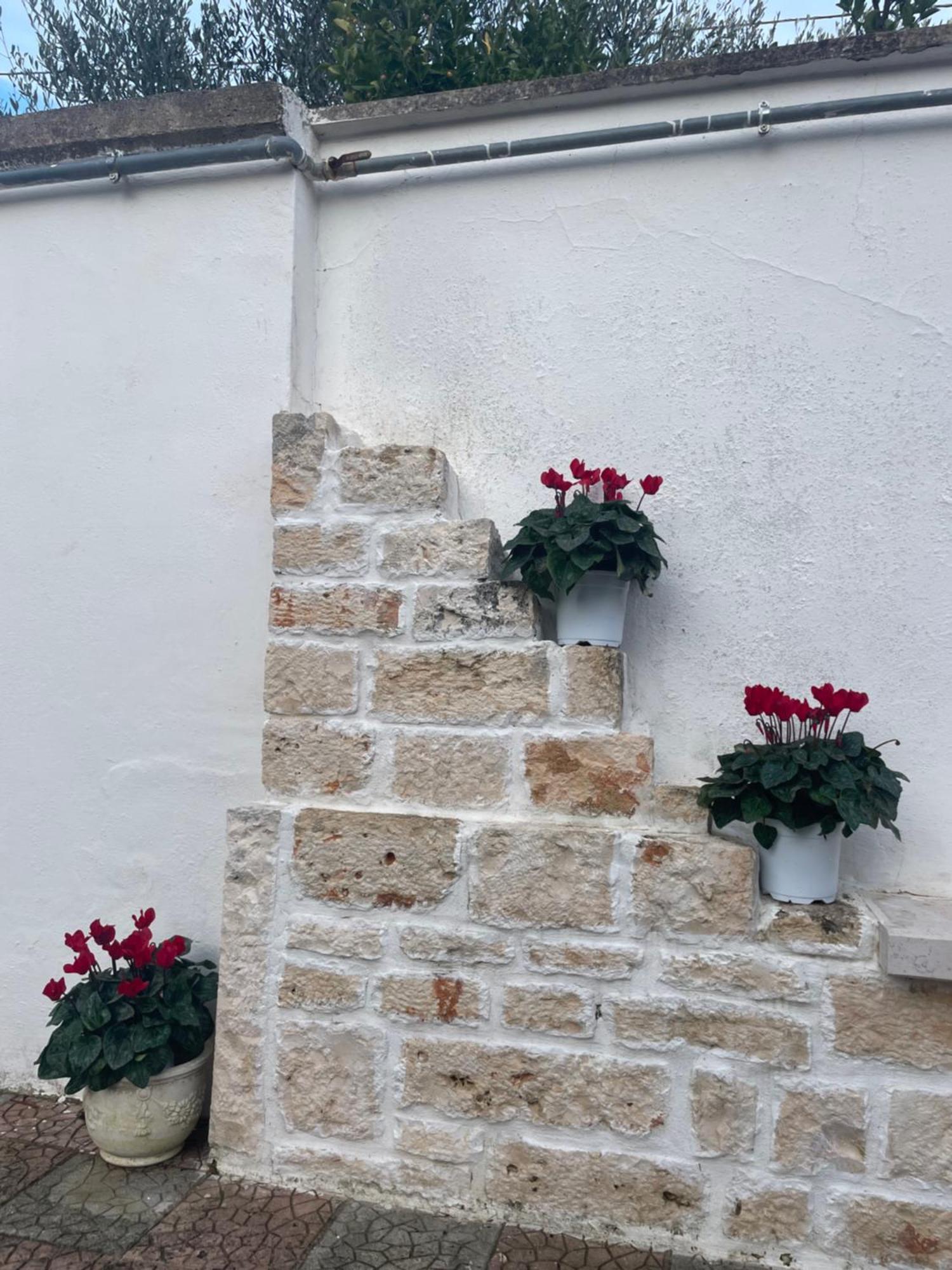 Il Trullo Di Nonno Licchio Alberobello Exterior foto